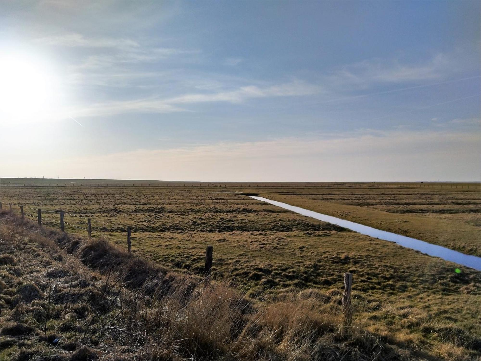 Ferienhaus Kolibri, Exklusiv Und Familiaer In Nessmersiel Mit Anbindung Nach Baltrum Luaran gambar